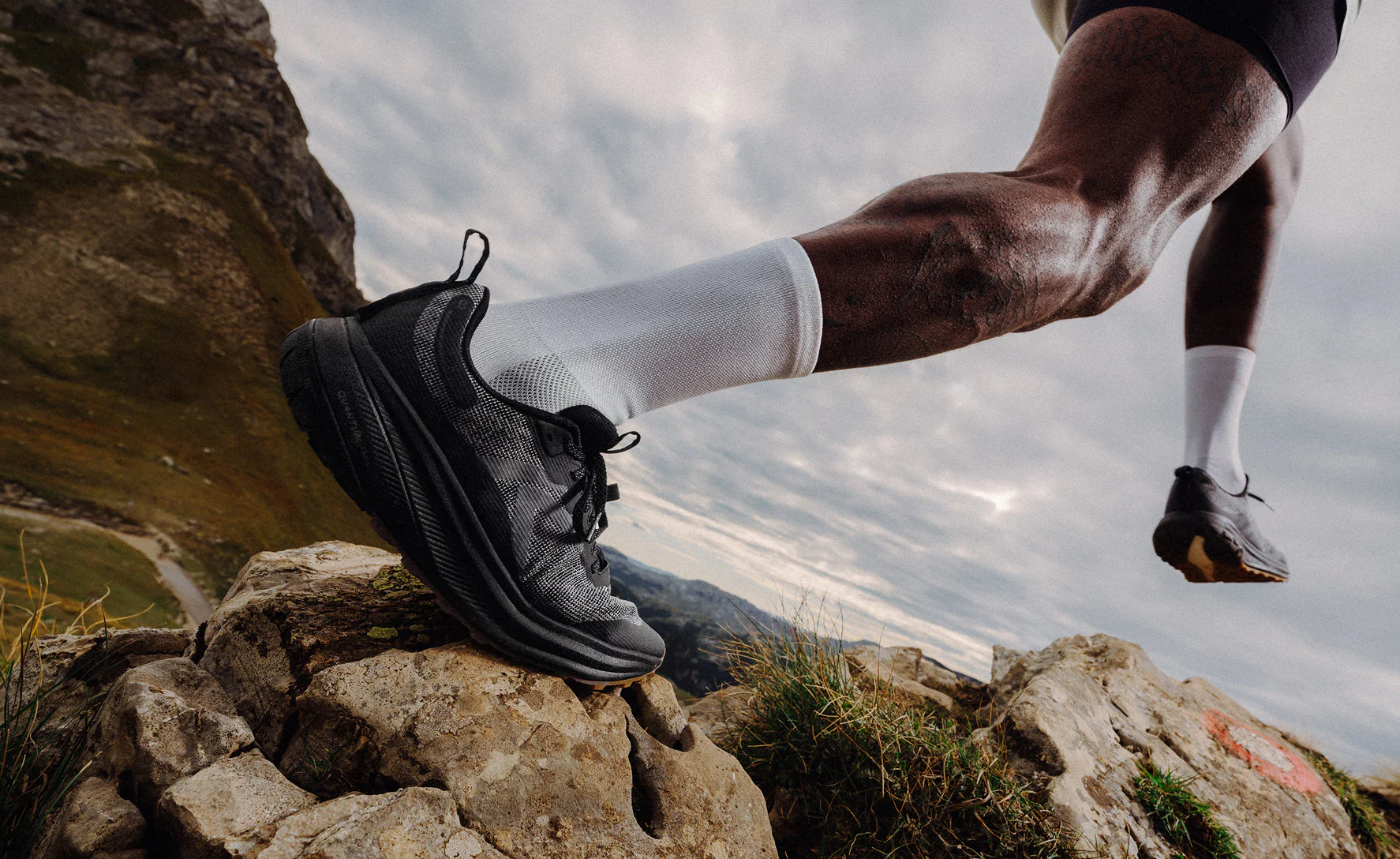 Men's Roam Trail Running Shoe  |  Birch/Brindle - Image 7