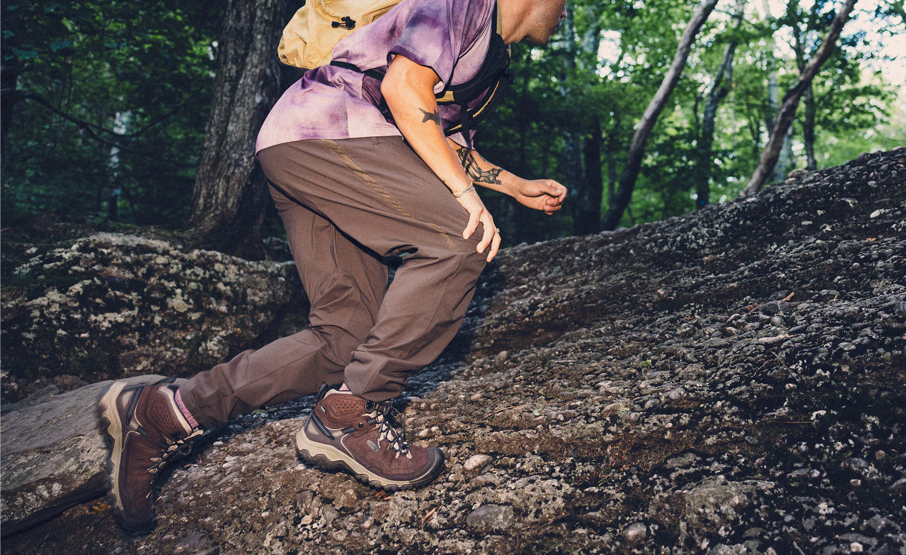 Men's Targhee IV Waterproof Hiking Boot  |  Java/Brindle - Image 7