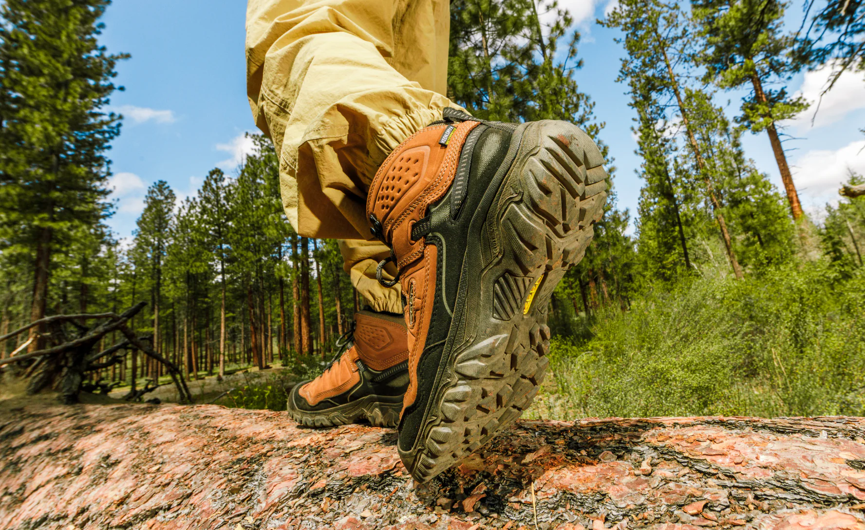 Men's Targhee IV Wide Waterproof Hiking Boot  |  Bison/Black - Image 7