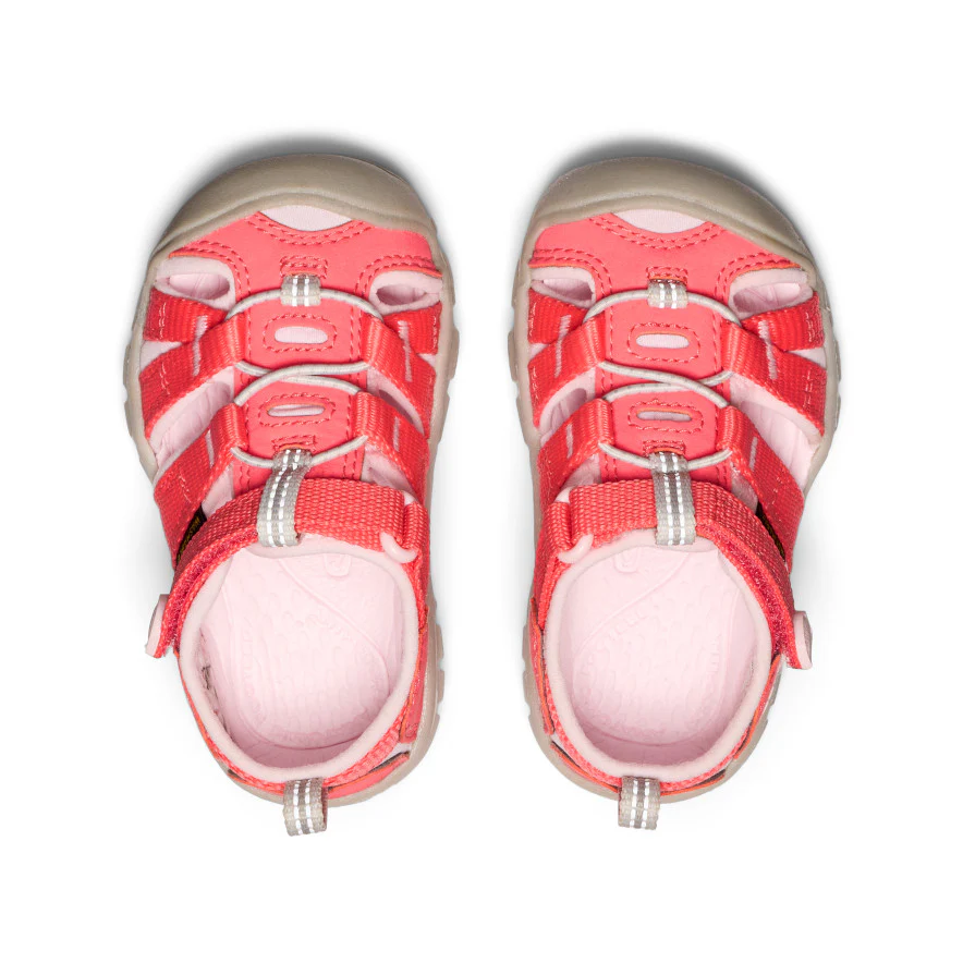 Toddlers' Seacamp II CNX | Dubarry/Giggle Pink - Image 4