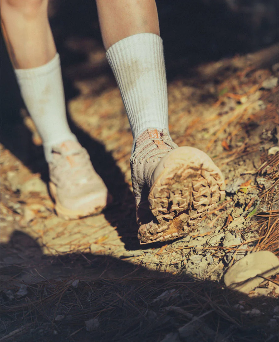 Women's Targhee Apex Waterproof Hiking Shoe  |  Abbey Stone/Birch - Image 8